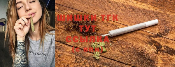 индика Абинск