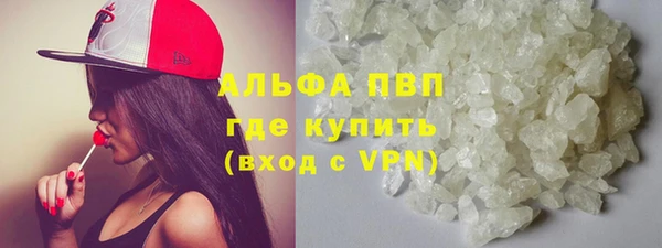 индика Абинск