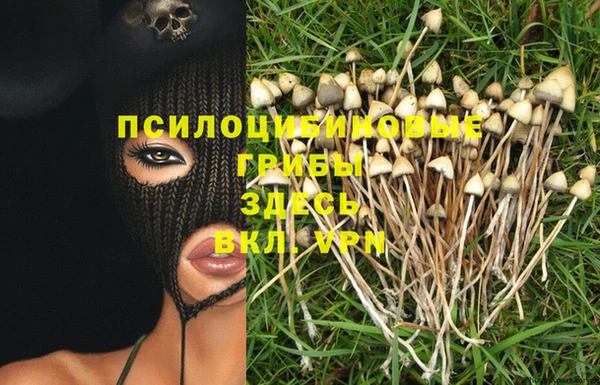 индика Абинск