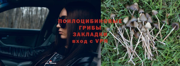 кокс Абдулино