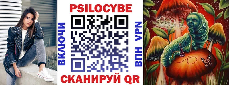 дарнет шоп Мамадыш Псилоцибиновые грибы ЛСД